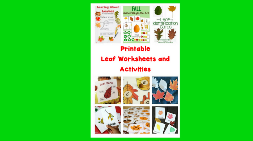 Printable Leaf Worksheets and Activities